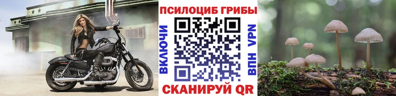 Псилоцибиновые грибы прущие грибы  цена   Яхрома 