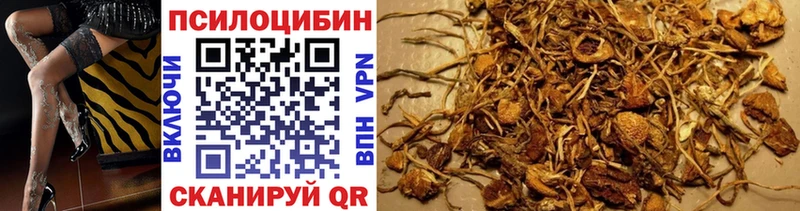 Галлюциногенные грибы Cubensis Яхрома